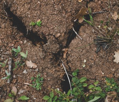 ‘Uncertain times, unsettled lives’